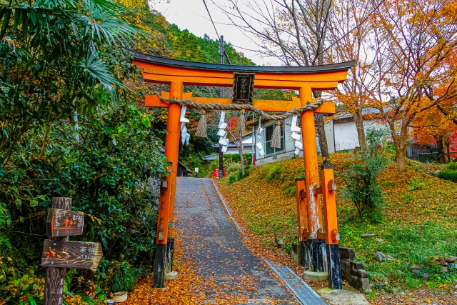 Kyoto Laundry