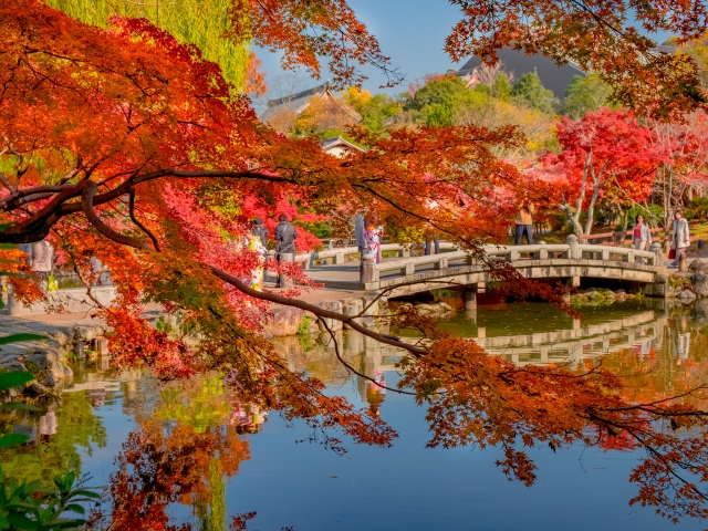 Kyoto maruyama park