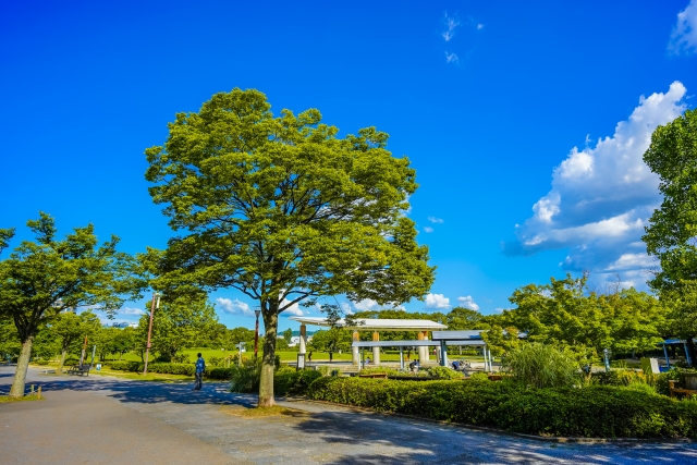 Kyoto Railway Museum