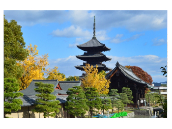 二条城　京都市 中京区