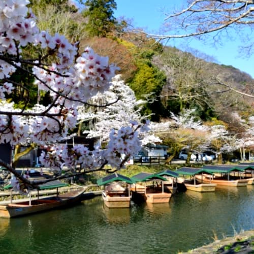 京都　洗たく宅配　西京区