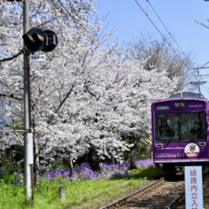 洗濯　右京区　嵐山　洗濯宅配　京都