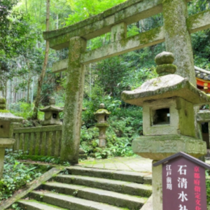 八幡市　洗濯　京都